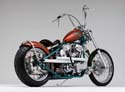 M050215-NYCChoppers-03v